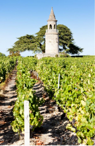 Découvrez le marché de l’immobilier de luxe en Nouvelle-Aquitaine. Propriétés Clovis vous guide dans l'achat de châteaux, villas et propriétés de prestige.