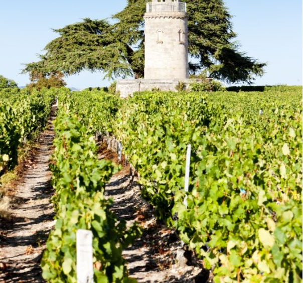 Découvrez le marché de l’immobilier de luxe en Nouvelle-Aquitaine. Propriétés Clovis vous guide dans l'achat de châteaux, villas et propriétés de prestige.