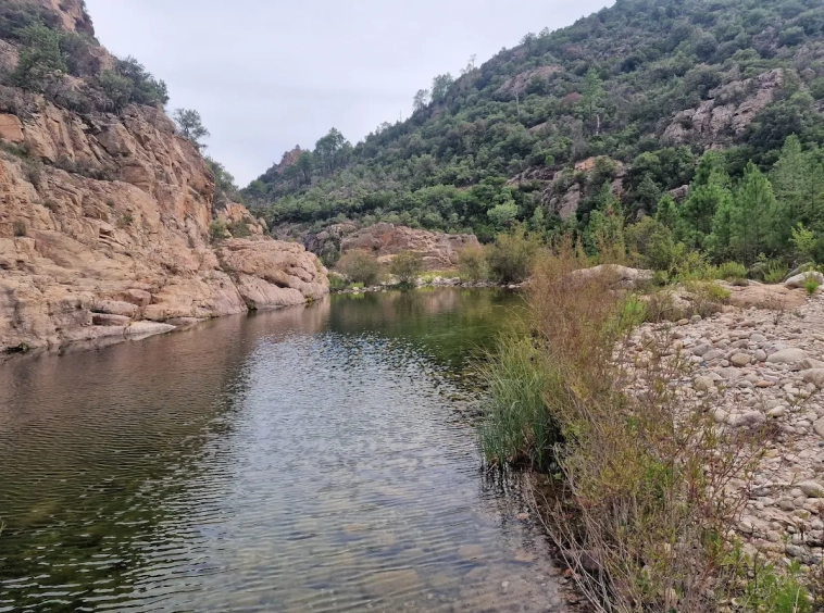 Bastide de charme à vendre à Sari-Solenzara Corse-du-Sud Immobilier de luxe Propriétés Clovis (12)