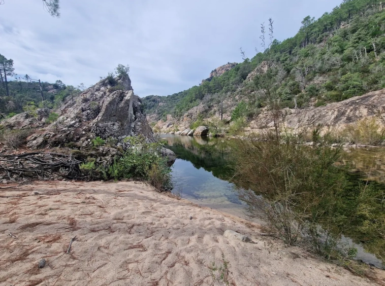 Bastide de charme à vendre à Sari-Solenzara Corse-du-Sud Immobilier de luxe Propriétés Clovis (7)