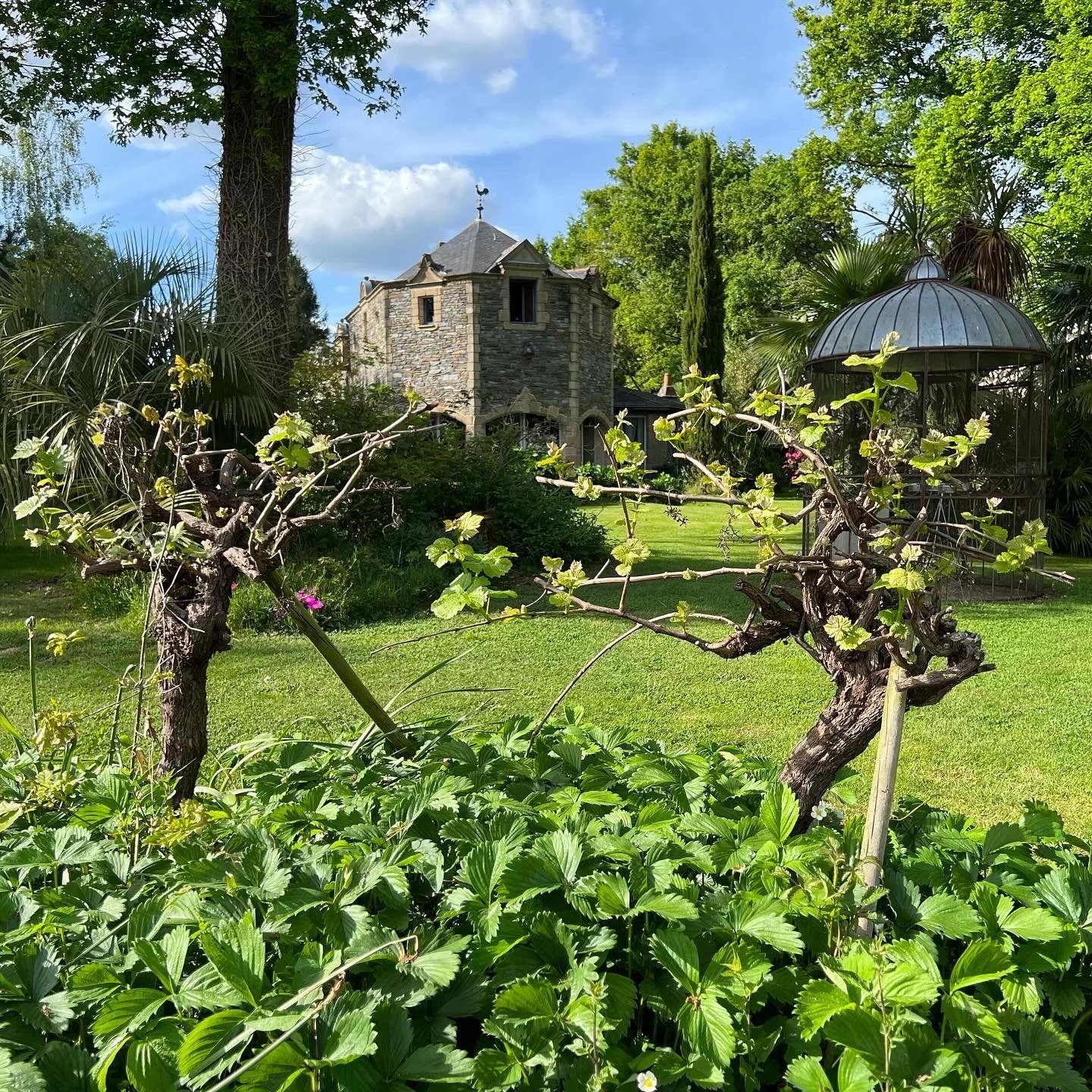 Manoir Historique à Vendre en Bretagne – 15 Chambres sur 1,2 Hectare