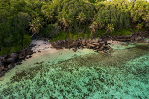 Découvrez les Seychelles : Paradis et Luxe Immobilier Explorez les Seychelles : beauté naturelle, plages de rêve et opportunités immobilières de luxe uniques. Investissez dans un cadre idyllique et protégé.