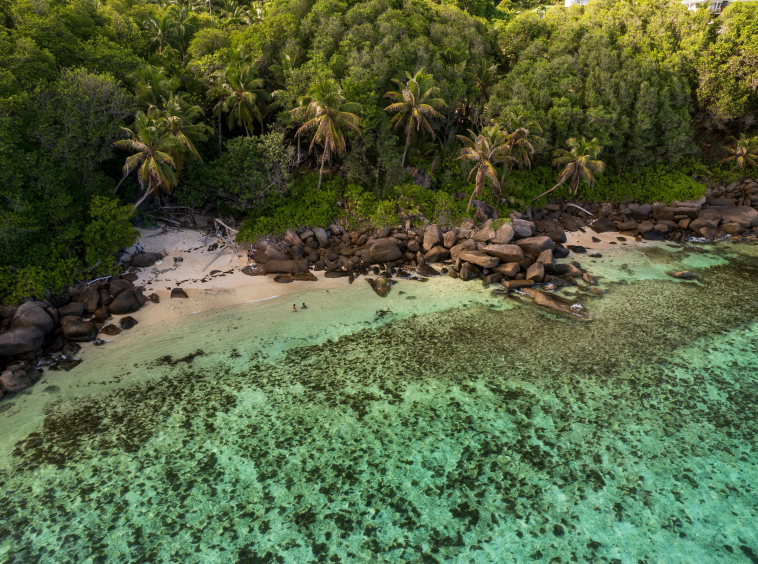 Découvrez les Seychelles : Paradis et Luxe Immobilier Explorez les Seychelles : beauté naturelle, plages de rêve et opportunités immobilières de luxe uniques. Investissez dans un cadre idyllique et protégé.