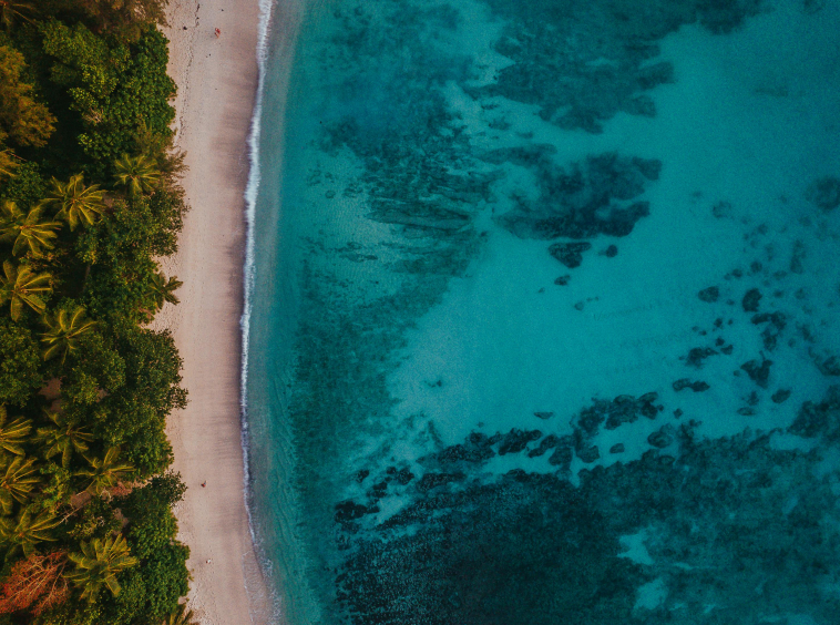 Marché Immobilier de Luxe aux Seychelles Opportunités. Explorez le marché immobilier de luxe aux Seychelles avec Propriétés Clovis villas d’exception. Marché Immobilier de Luxe aux Seychelles Opportunités. Explorez le marché immobilier de luxe aux Seychelles avec Propriétés Clovis villas d’exception.