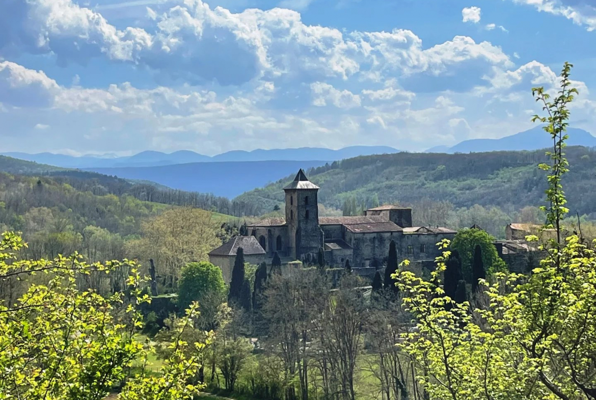 Discover this 10th-century abbey château in Camon, Ariège, with 17 bedrooms, gardens, and stunning views of the Pyrenees. A unique historical property.