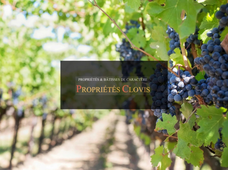 Discover this 19.72 ha wine estate near Saint-Émilion, producing 3 AOCs. Includes a manor house to renovate and excellent potential for oenotourism.