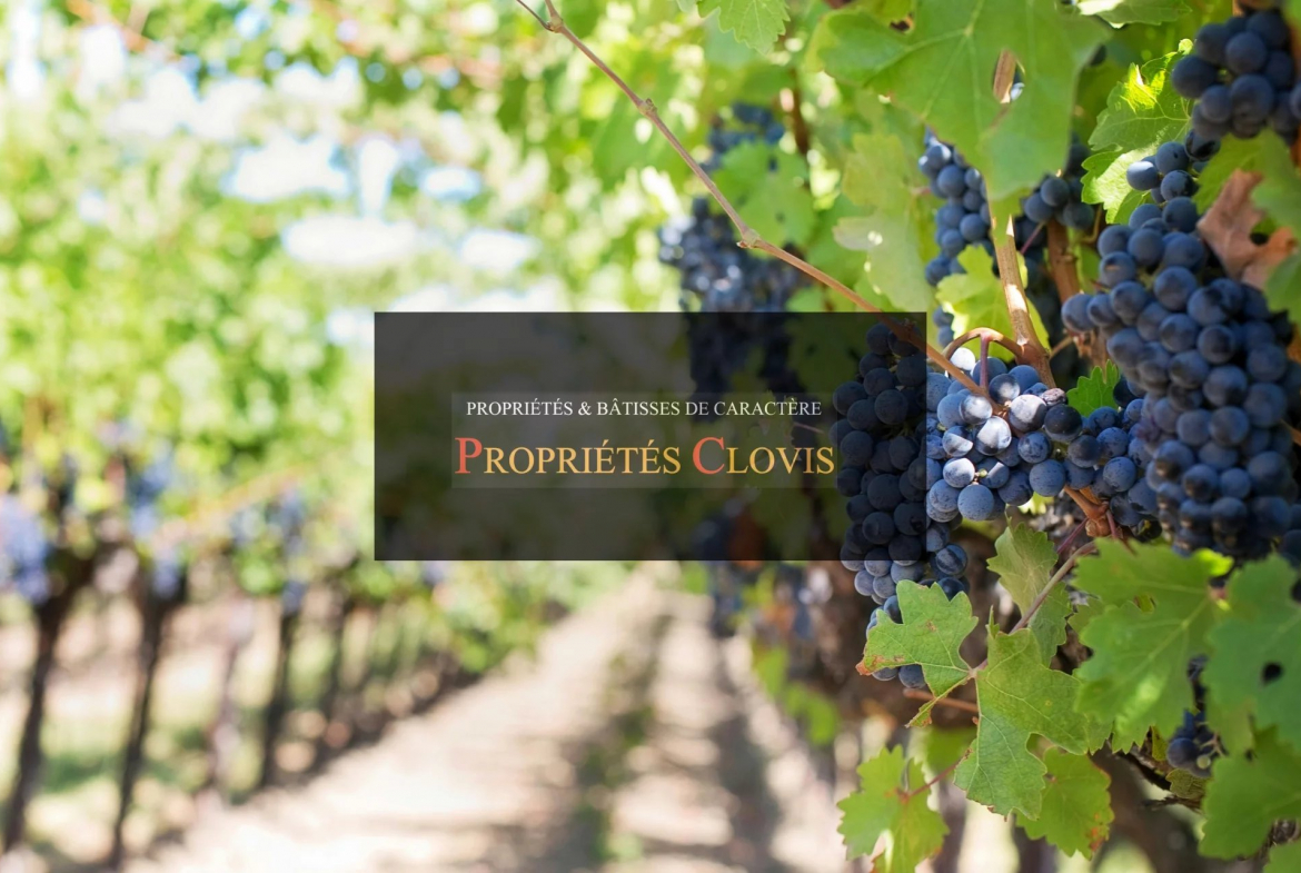 Discover this 19.72 ha wine estate near Saint-Émilion, producing 3 AOCs. Includes a manor house to renovate and excellent potential for oenotourism.