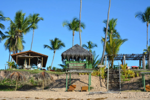 Eco-friendly beachfront hotel for sale in Barra Grande, Bahia – investment opportunity. 18 rooms, restaurant, bar, sustainable amenities. Priced at €8,000,000.
