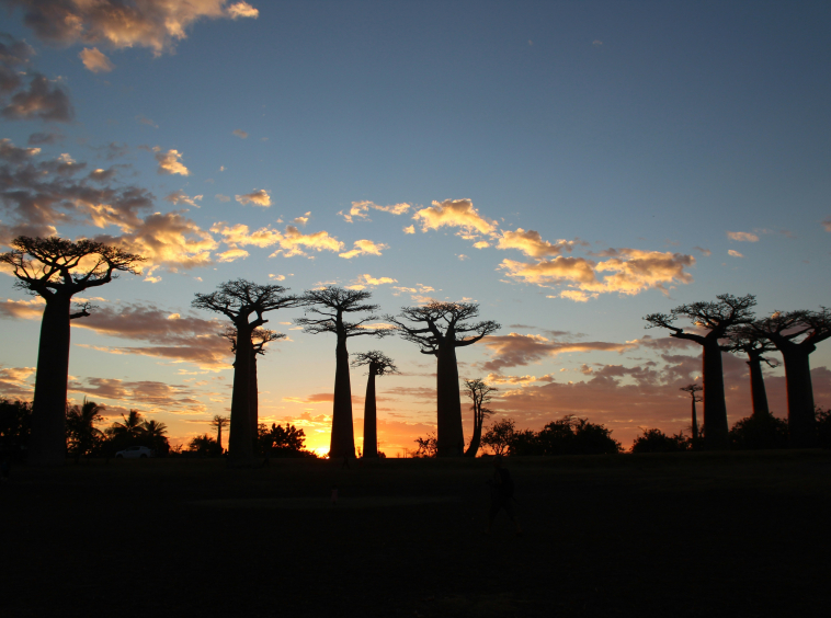 Discover Madagascar’s luxury real estate market: villas, unique estates, beachfront properties. Expert advice for sellers and buyers alike.