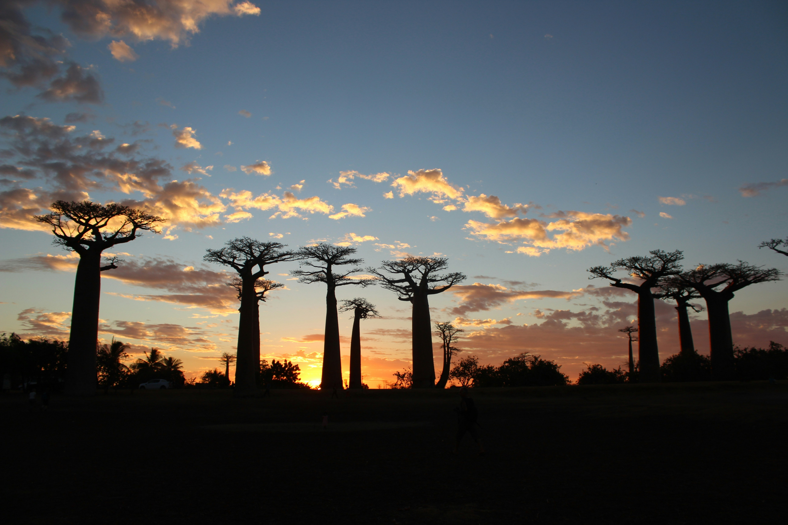 Discover Madagascar’s luxury real estate market: villas, unique estates, beachfront properties. Expert advice for sellers and buyers alike.