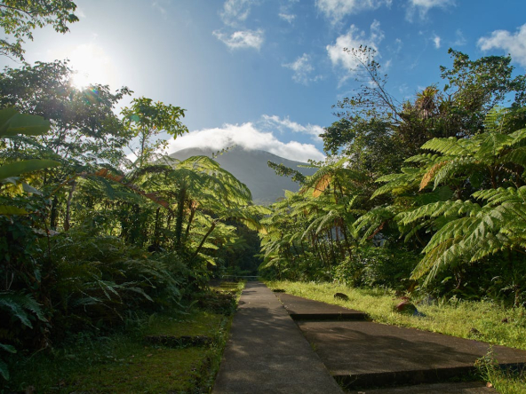 Marché immobilier de luxe en Guadeloupe : villas, maisons d’exception, chiffres clés, tendances et conseils pour acheter ou vendre au meilleur prix.
