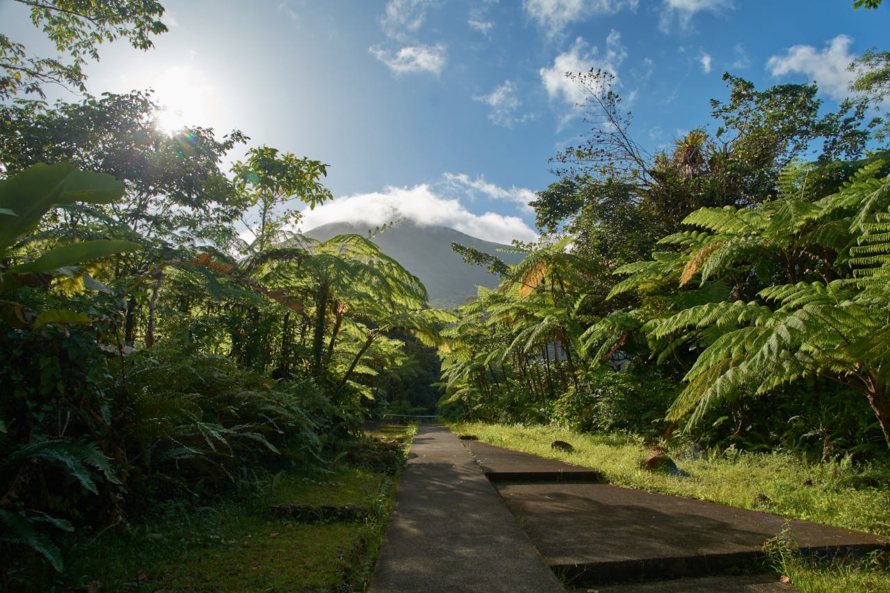 Marché immobilier de luxe en Guadeloupe : villas, maisons d’exception, chiffres clés, tendances et conseils pour acheter ou vendre au meilleur prix.