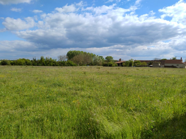 Osmery Cher (18) : Terrain constructible de 12 032 m² en un seul lot, idéal promoteur ou lotisseur, potentiel jusqu’à 10 logements, environnement patrimonial.