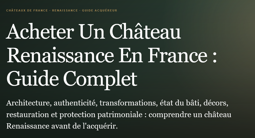 Acheter un château renaissance en france  architecture authenticité état travaux patrimoine et points essentiels à vérifier avant lacquisition Propriétés clovis