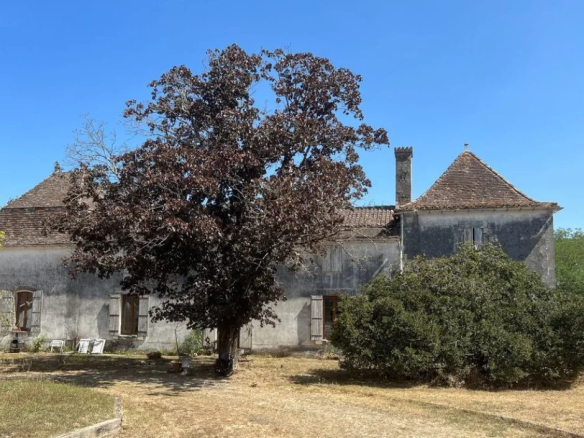 Ancien bâtiment avec un arbre devant situé sur un domaine équestre à ménesplet dordogne Propriétés clovis