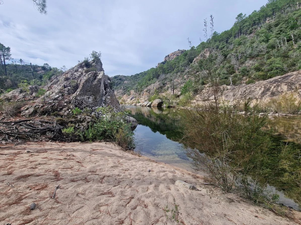 Rivière à Sari-Solenzara Rivière entourée de rochers et de végétation à Sari-Solenzara, Corse-du-Sud.