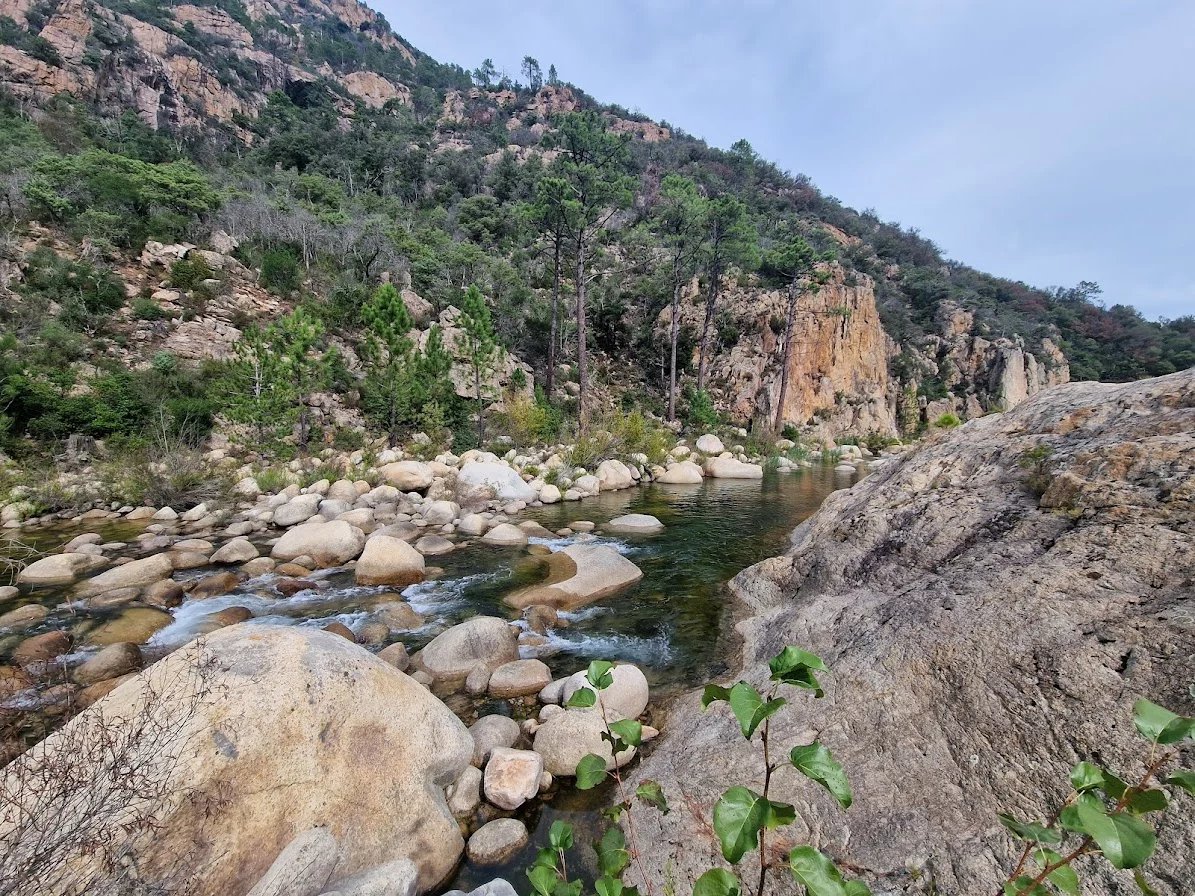 Rivière dans le massif de Bavella Rivière entourée de rochers et de végétation dans le massif de Bavella, Corse.