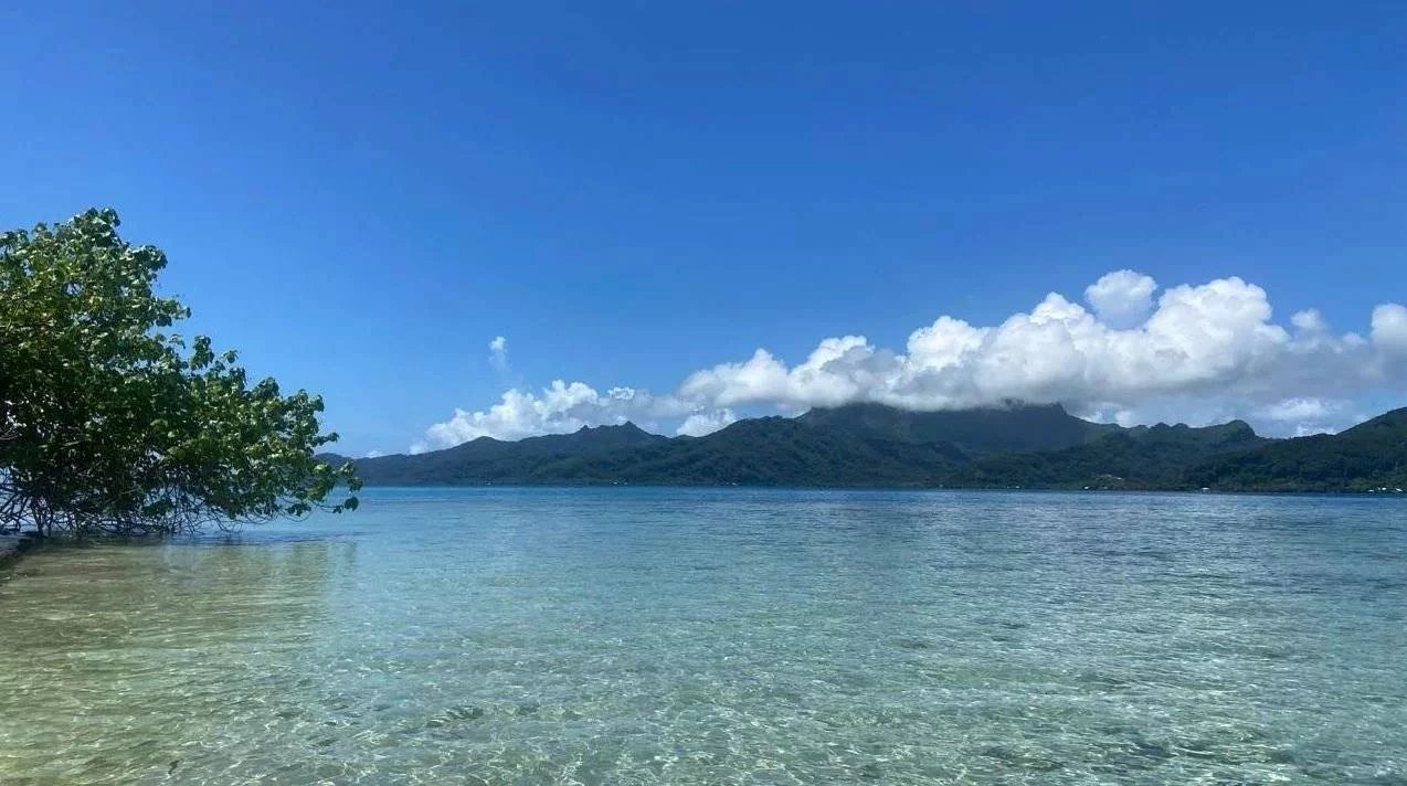 66067d19d879376ac723f2faa799d761_1b74ee00fc_1274-original