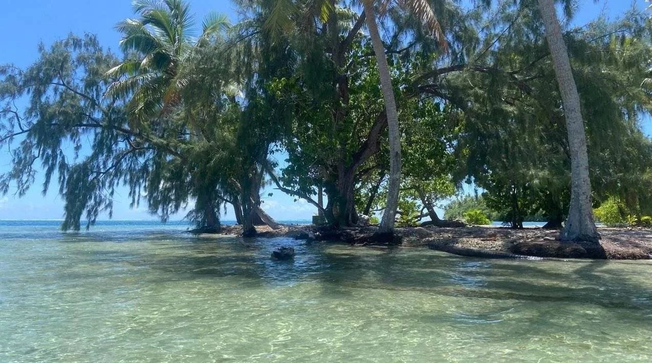 d13216213a6593de183f8475ec783d84_f7fe0d7bbb_1274-original