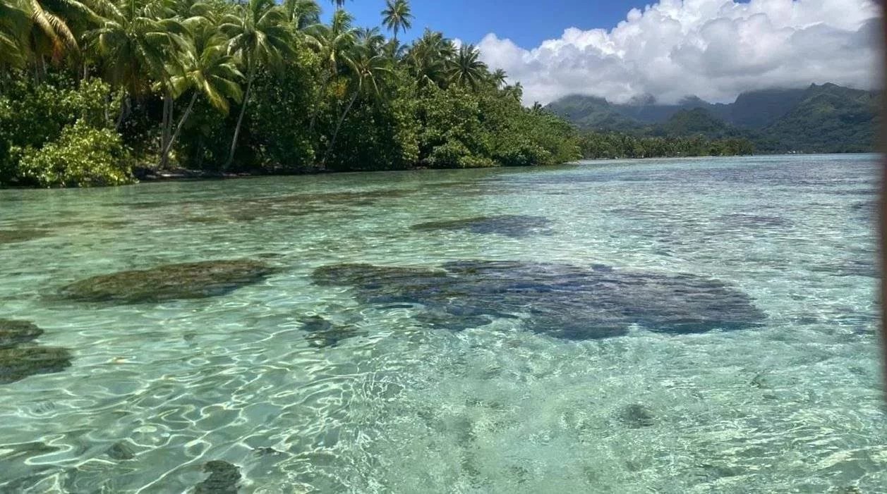 e08338e0a87541783be116f649f47a37_04b2c7d9b6_1257-original