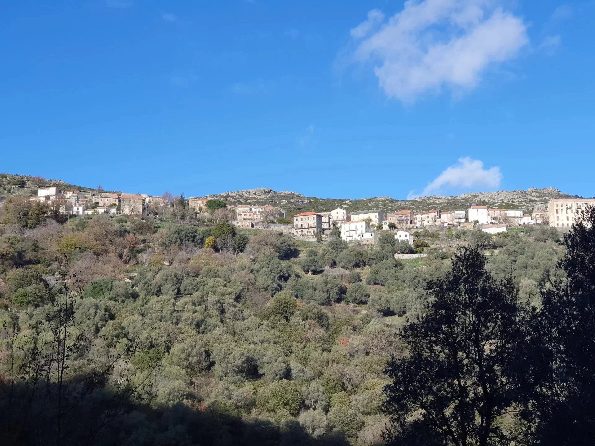 ee0a59878a13ad9d4c4daee1011d08ff_cacbe4dbf3_1920-original