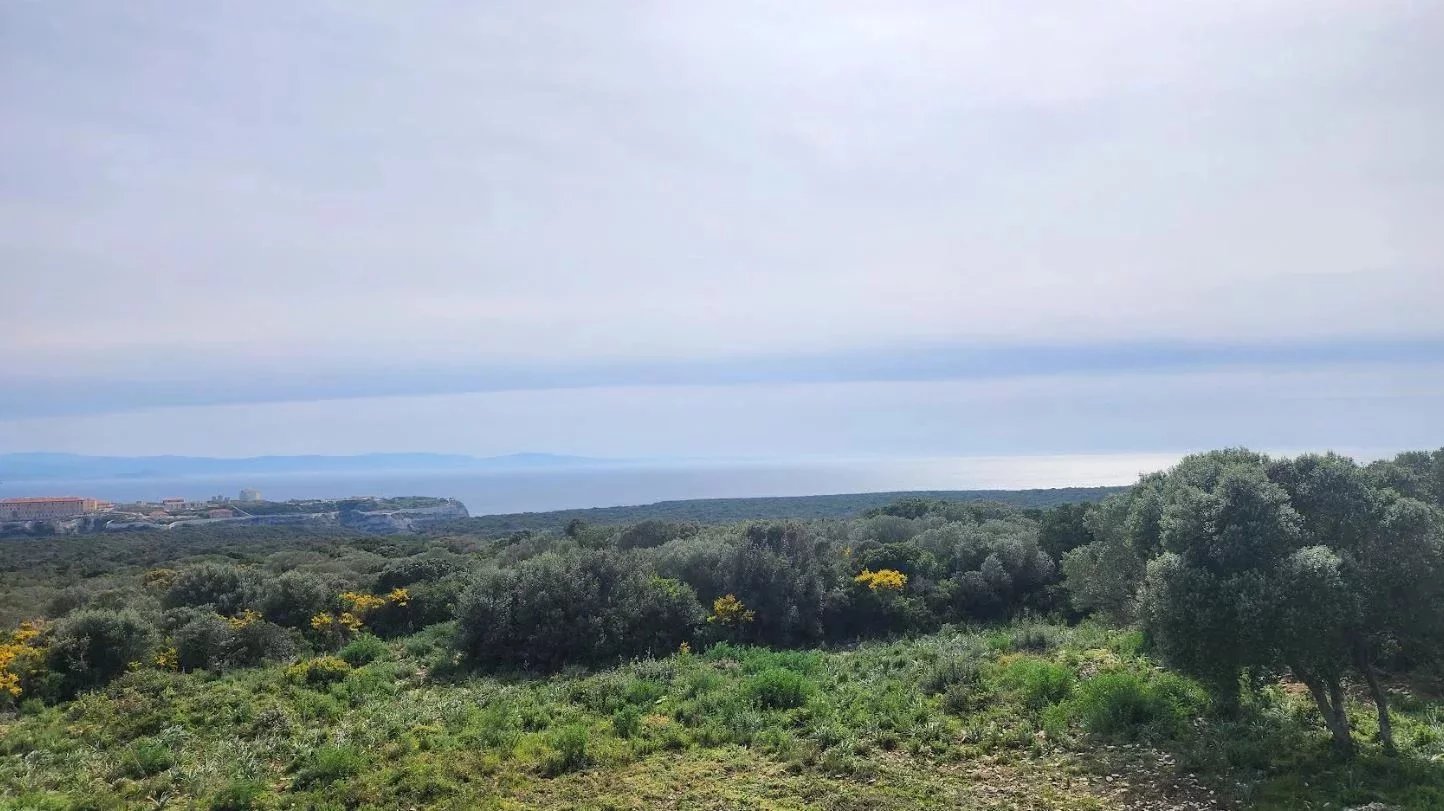 b74320064d7bf1bbb99f564191863f8c_19a2cdac05_1444-original