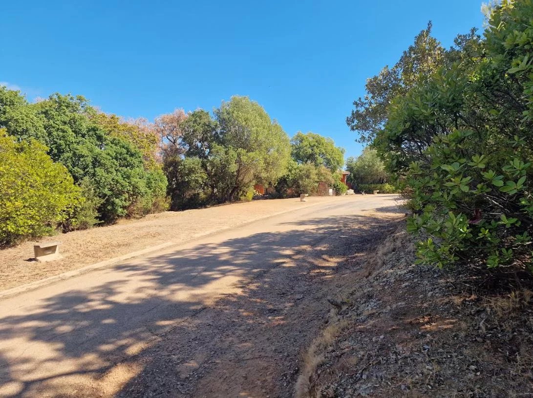 e122f3c85c65e17cffb9a12b247e64d5_bd688c66d8_1091-original