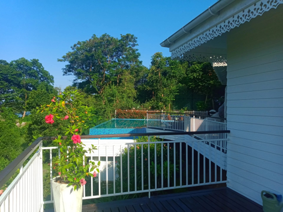 Balcony scene with a flowering pink hibiscus plant in a white pot white railing and a pool beyond the railing against a blue sky Propriétés clovis