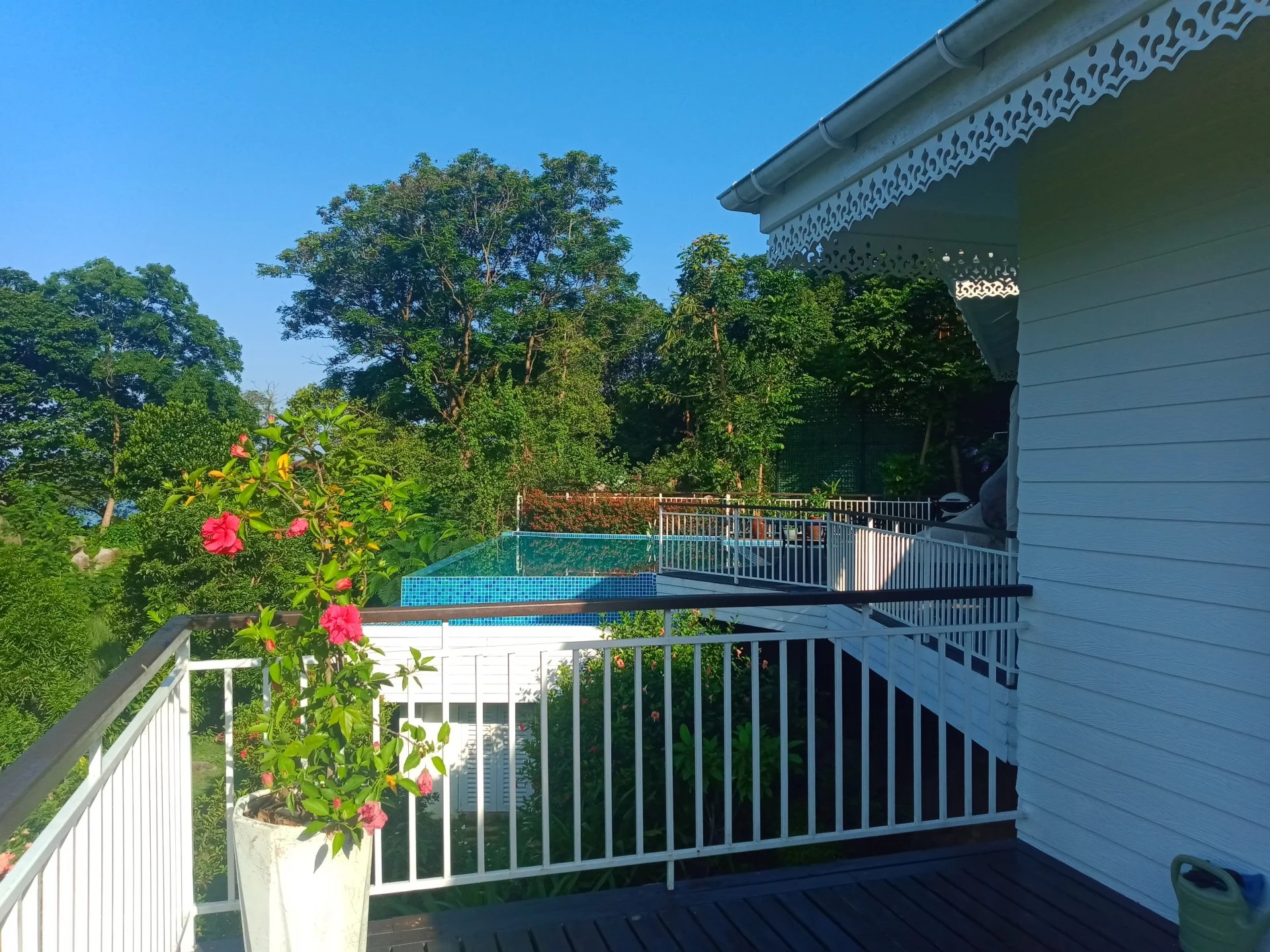 Balcony scene with a flowering pink hibiscus plant in a white pot white railing and a pool beyond the railing against a blue sky Propriétés clovis