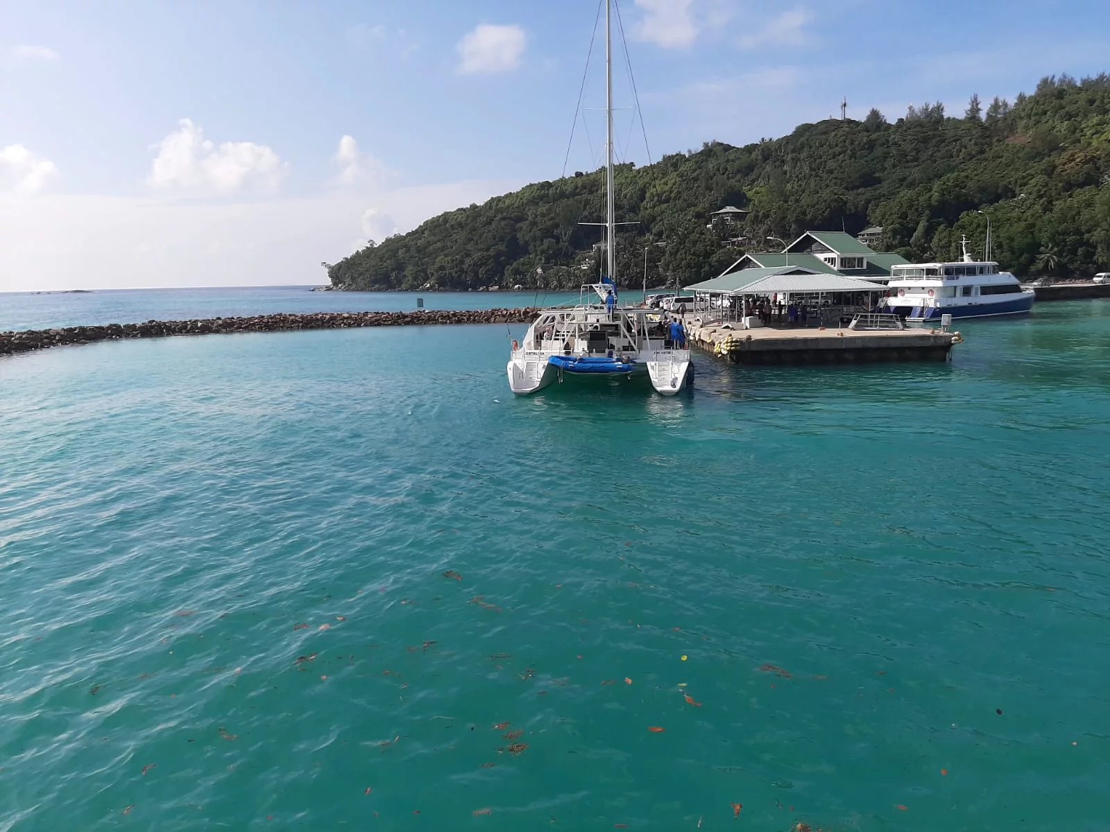 Turquoise harbor with a catamaran moored at a wooden pier and a forested hillside in the background.