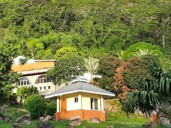 Small yellow house with a gray roof nestled in a lush tropical garden with rocks in the foreground and a forested hillside behind Propriétés clovis