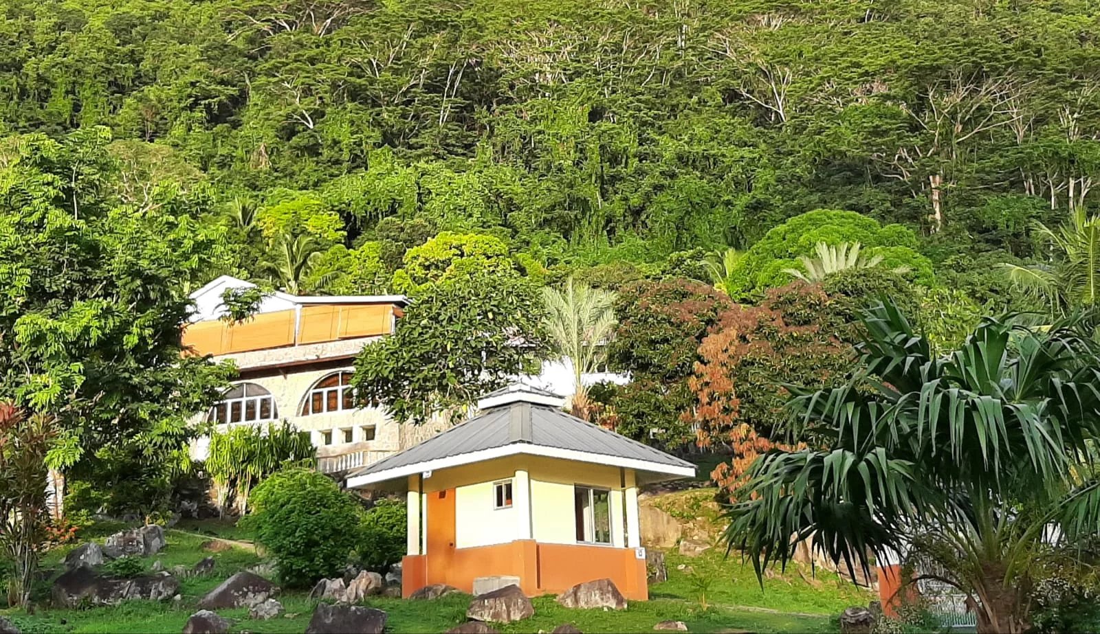 Small yellow house with a gray roof nestled in a lush tropical garden, with rocks in the foreground and a forested hillside behind.