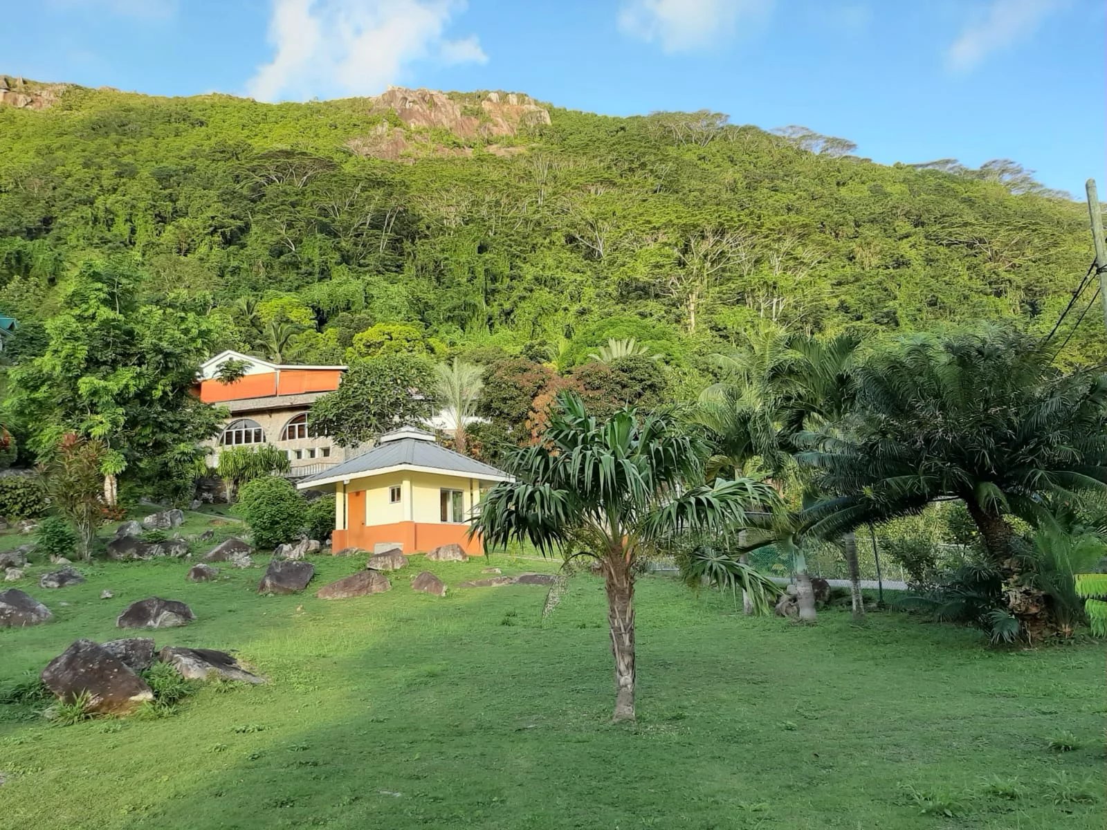 A small yellow house with orange trim in a green yard, palm trees nearby, and a rocky hillside with dense trees behind under a blue sky.