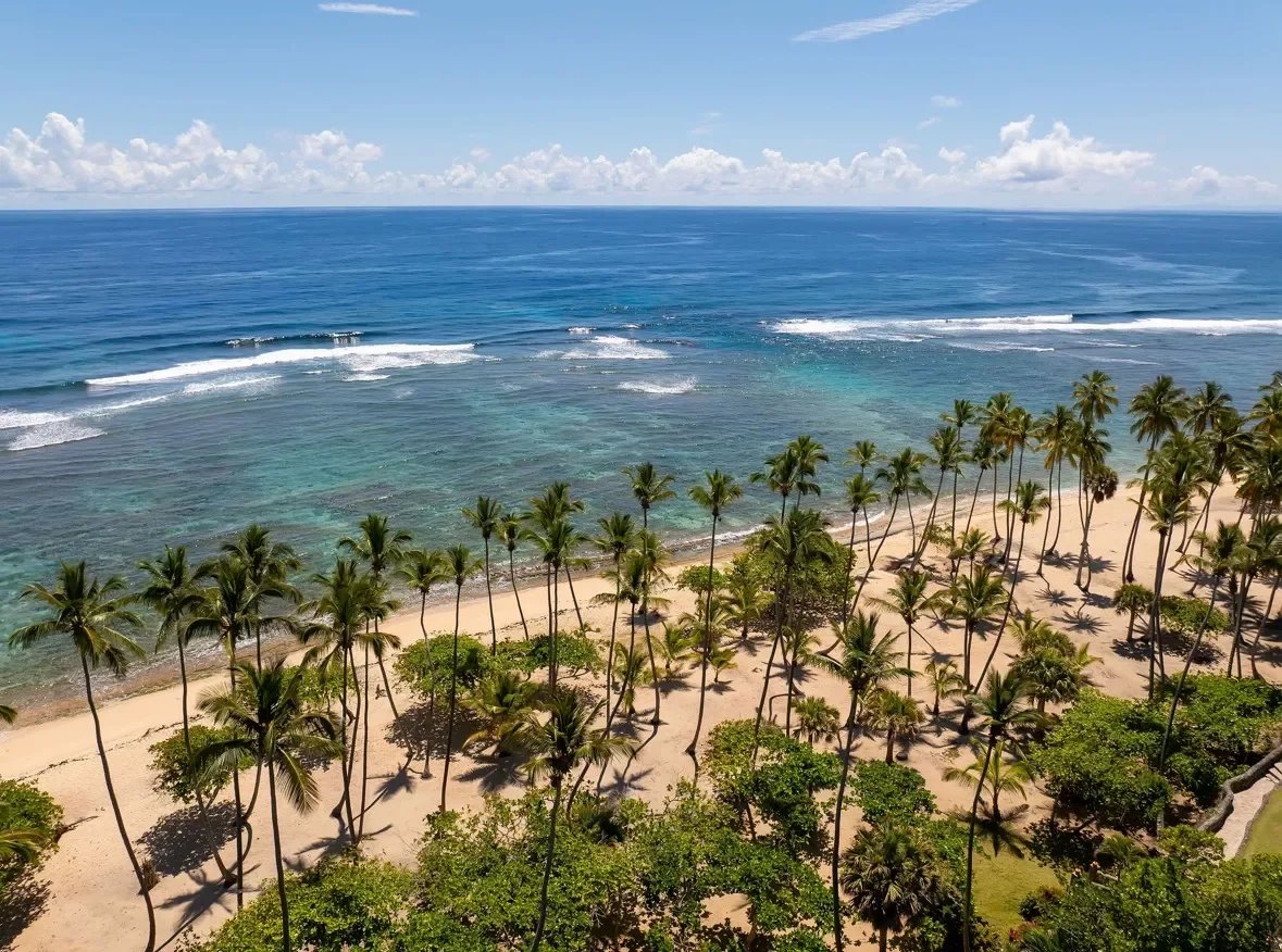 A tropical beach with tall palm trees along a sandy shore and calm turquoise waves under a blue sky.