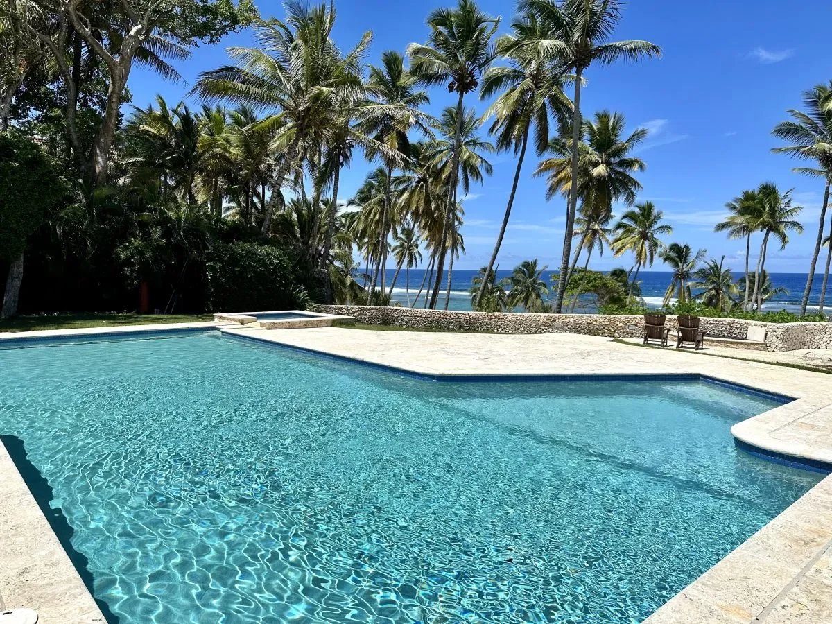 Poolside view of a clear blue swimming pool with a stone deck, surrounded by tall palm trees and a distant ocean horizon under a bright sky.