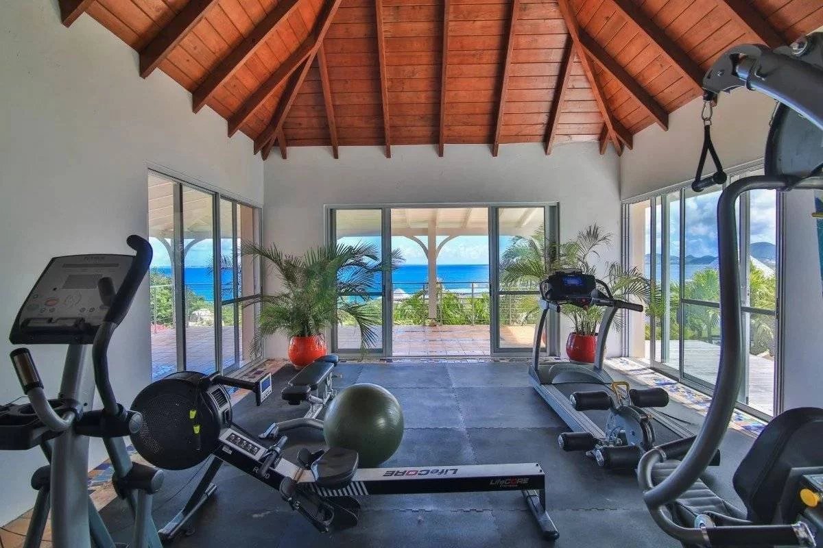 Gym with cardio machines (treadmills, stationary bike, rowing machine) and a large green stability ball, facing ocean-view glass walls and a wooden vaulted ceiling with plants nearby.