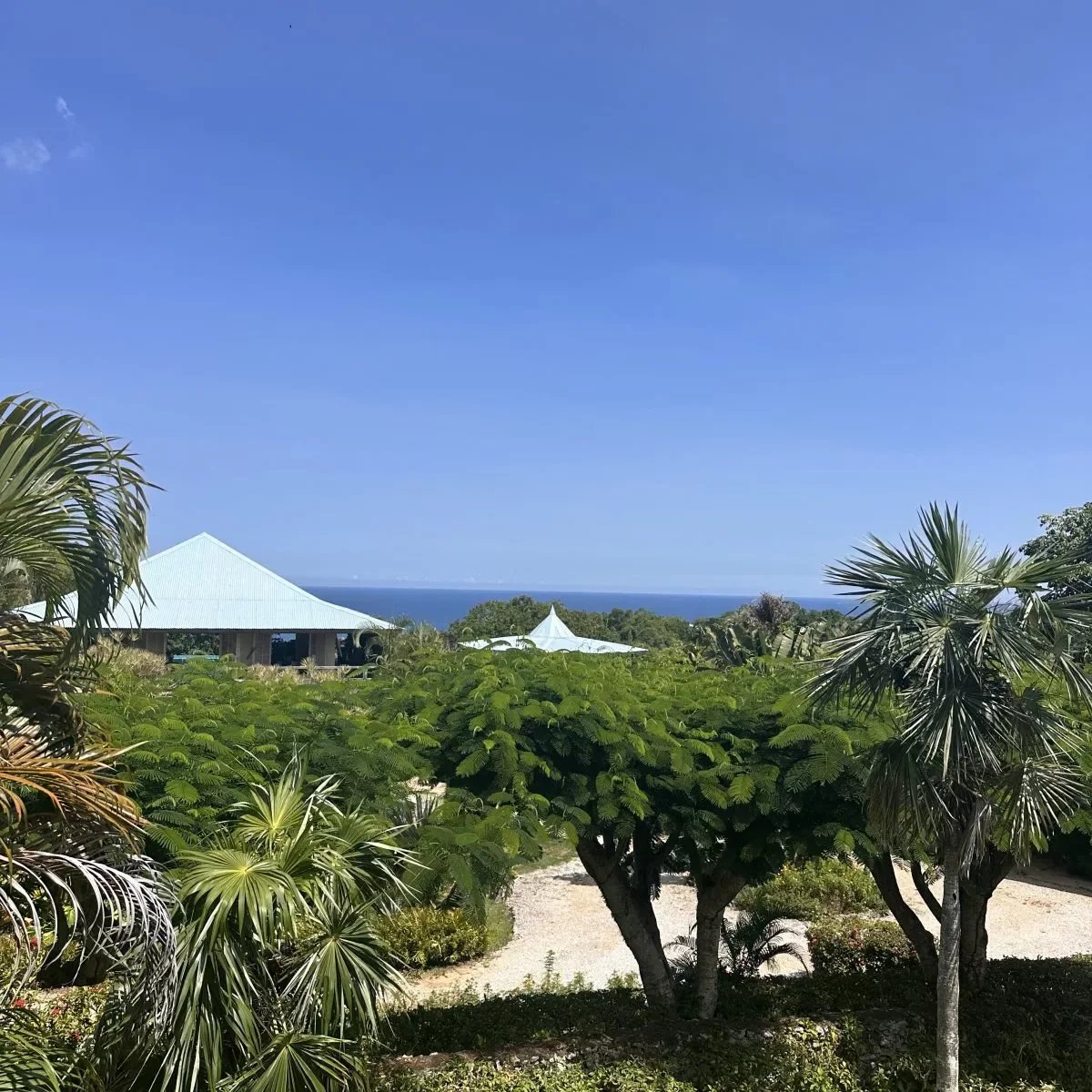 Lush tropical garden with palm trees and a pale blue-roofed building, ocean horizon in the distance.