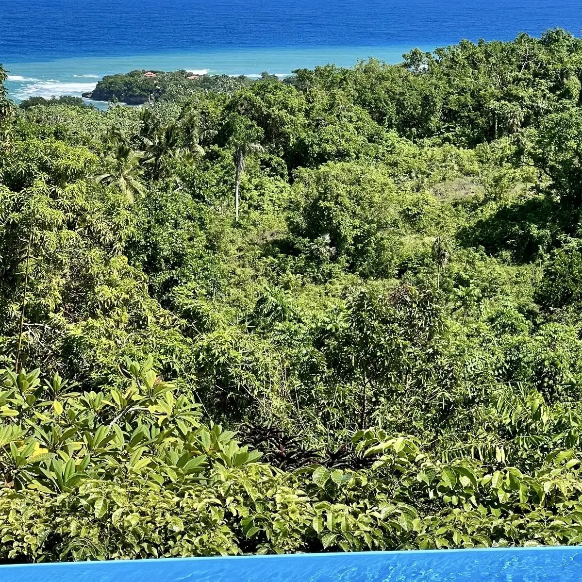 Dense tropical forest meeting a blue ocean horizon, with a small rocky headland in the distance and a few houses atop it.
