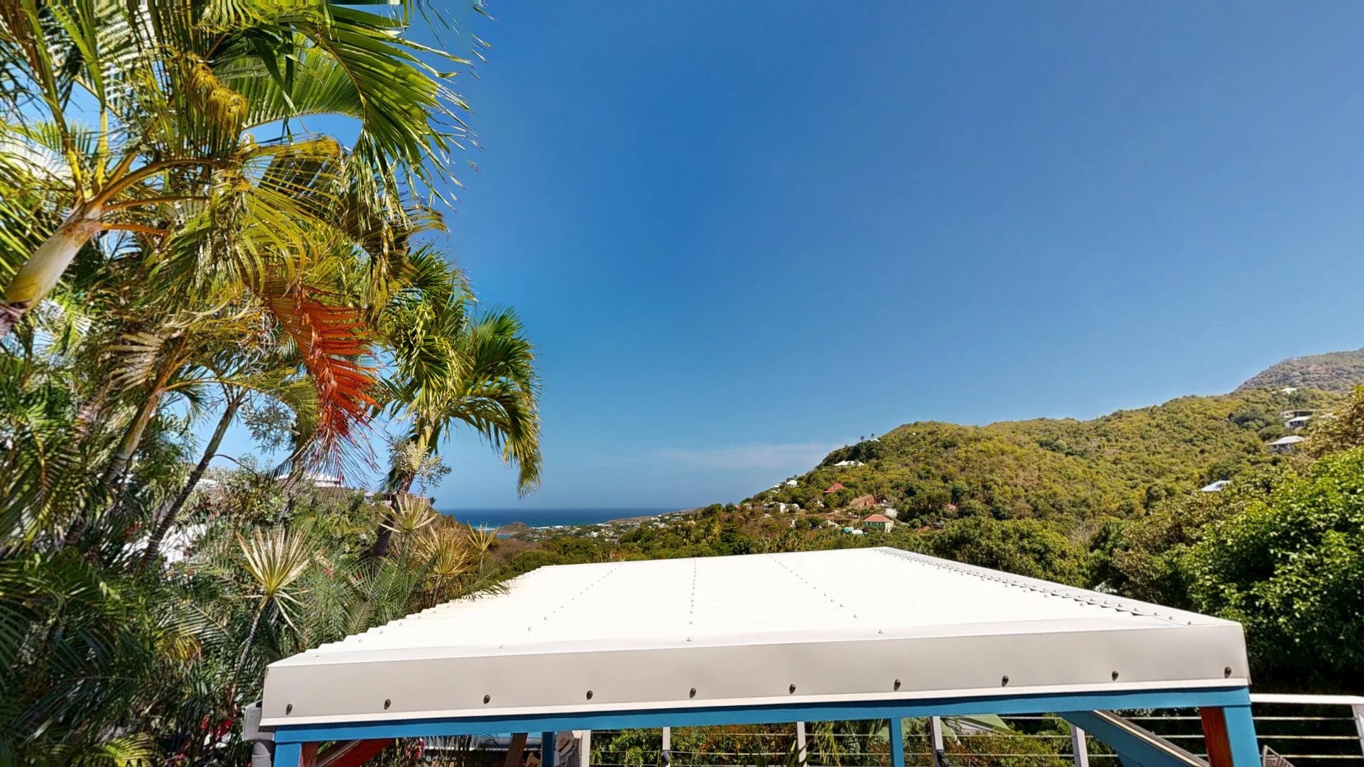 Tropical hillside view with palm trees on the left, a white roof in the foreground, and a blue ocean and sky in the distance.