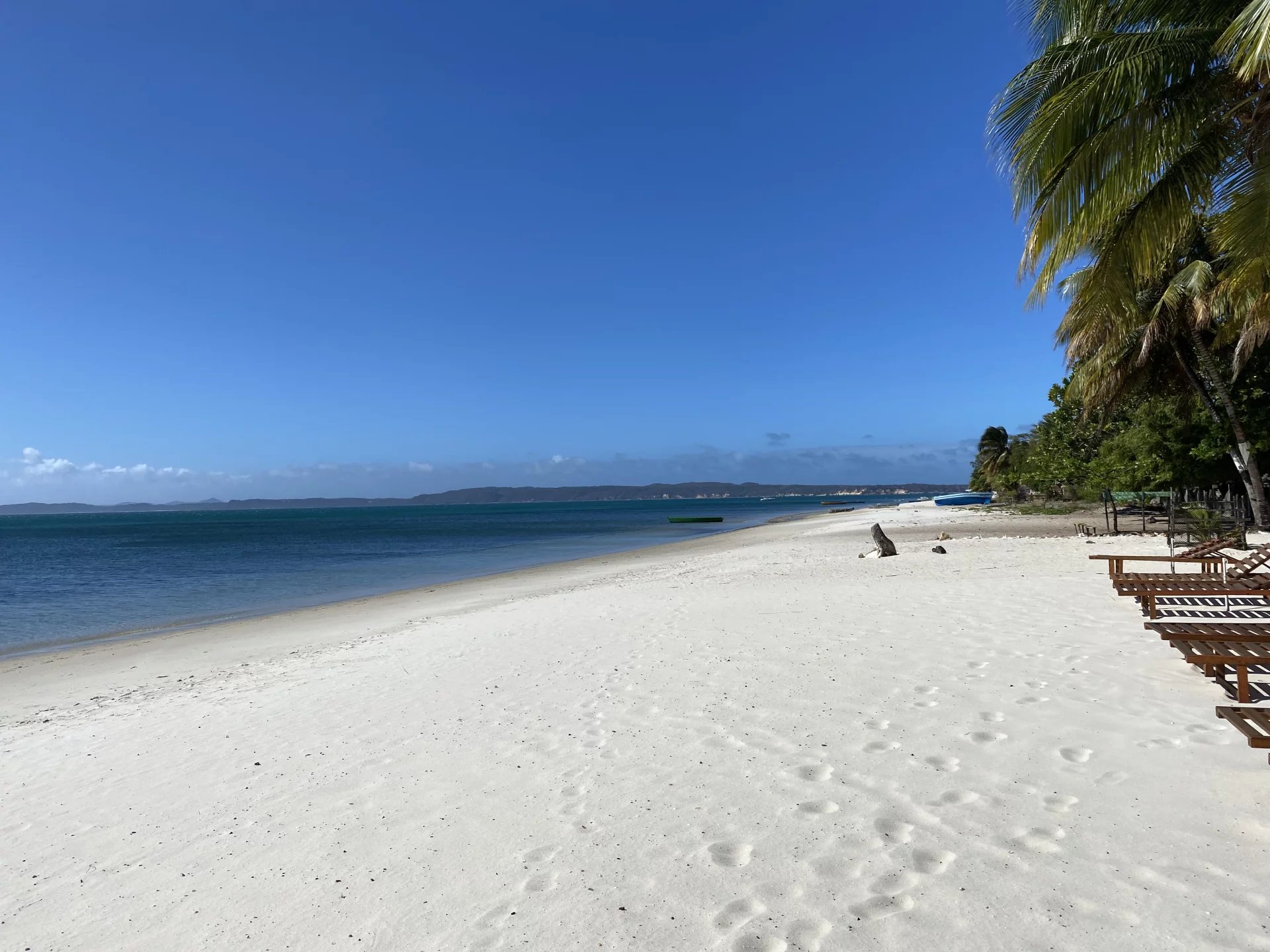Tropical beach with white sand, calm turquoise water, and palm trees along the shoreline under a clear blue sky.